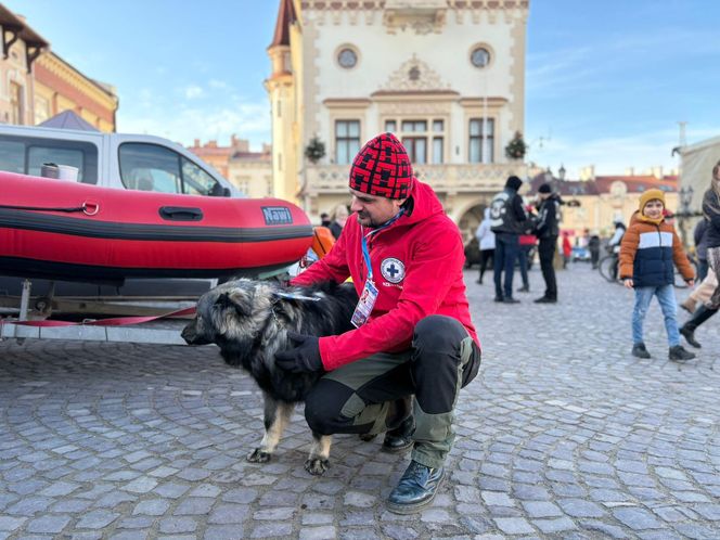 33. finał Wielkiej Orkiestry Świątecznej Pomocy w Rzeszowie