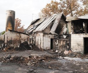Koryciny. Pożar w Darach Natury. Znany w Polsce zakład przeżywa trudne chwile [ZDJĘCIA]