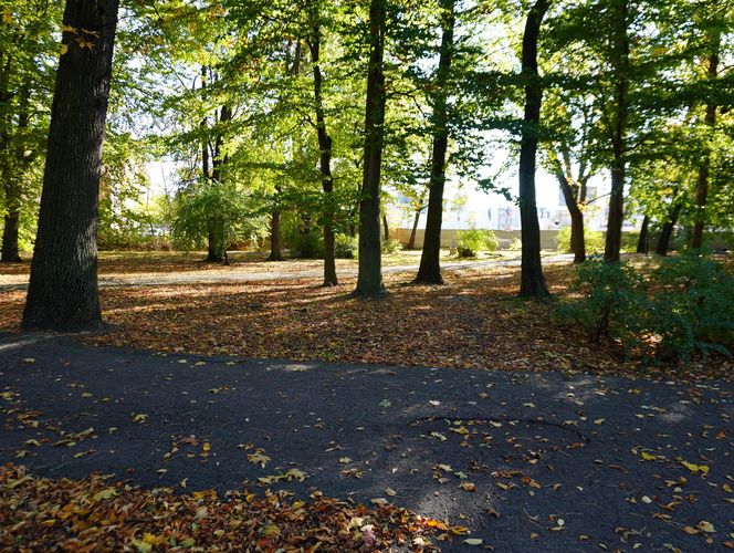 Złota polska jesień w parku na Bronowicach w Lublinie