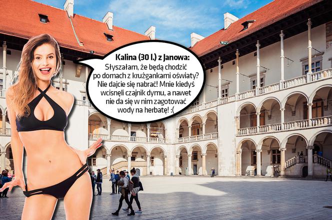  Kalina (30 l.) z Janowa