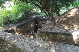 To nowe odkrycia w Ogrodzie Botanicznym. Zdefiniują na nowo dzieje Lublina? [GALERIA]