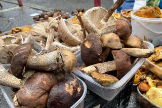 Grzybiarze sprzedają swoje zbiory na rynku maślanym 