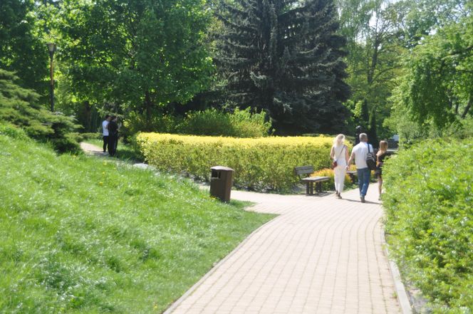 Park Miejski w Kielcach. Wiosna 2025