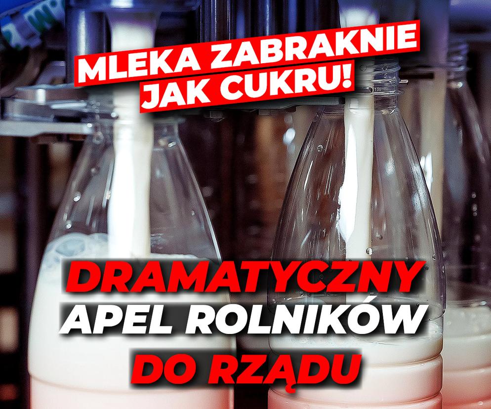 Mleka zabraknie jak cukru? Dramatyczny alarm branży