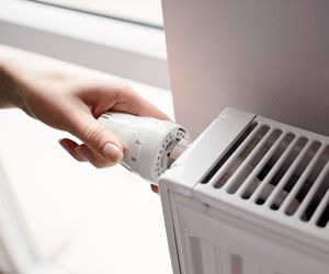 Termostat grzejnikowy. Jak działa regulacja temperatury w mieszkaniu? 