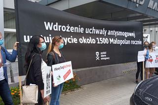Krakowski Alarm Smogowy: lobbyści stoją za zmianami w Programie Ochrony Powietrza