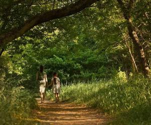 Gigantyczny spór o Park Naturalny Wrzosowisko. Ogromne emocje podczas sesji Rady Miasta Torunia