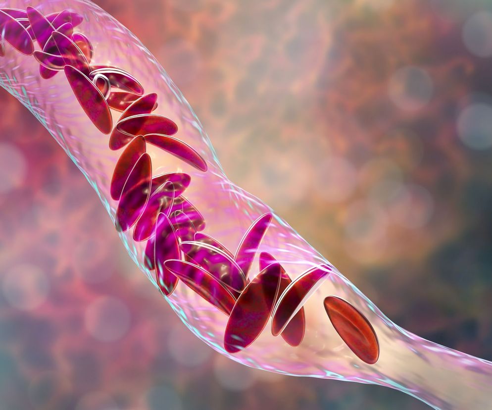 Wazokonstrykcja  umożliwia przede wszystkim regulowanie wartości ciśnienia tętniczego,