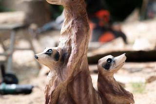  Artystka z Pomorza wśród najlepszych rzeźbiarzy na świecie