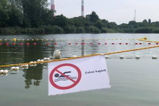 Warszawa: Groźne sinice wróciły na kąpieliska! Zobacz gdzie lepiej się nie kąpać