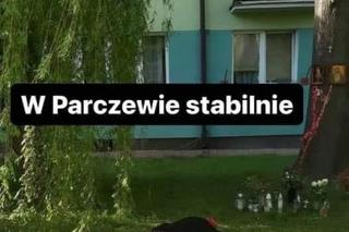 Buzię widzę w tym drzewiu i wiele innych. Tak śmieją się z woj. lubelskiego! Zobacz MEMY