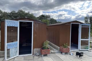 Chatka psiego dziadka w nowosądekcim schronisku dla zwierząt