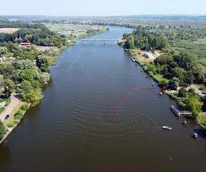 Katastrofa ekologiczna na Odrze. GIOŚ: stan Odry stabilizuje się