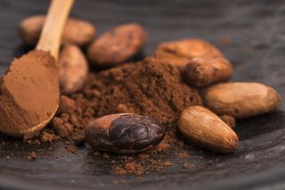 Kakao: wartość odżywcza i właściwości? Dlaczego warto pić kakao?