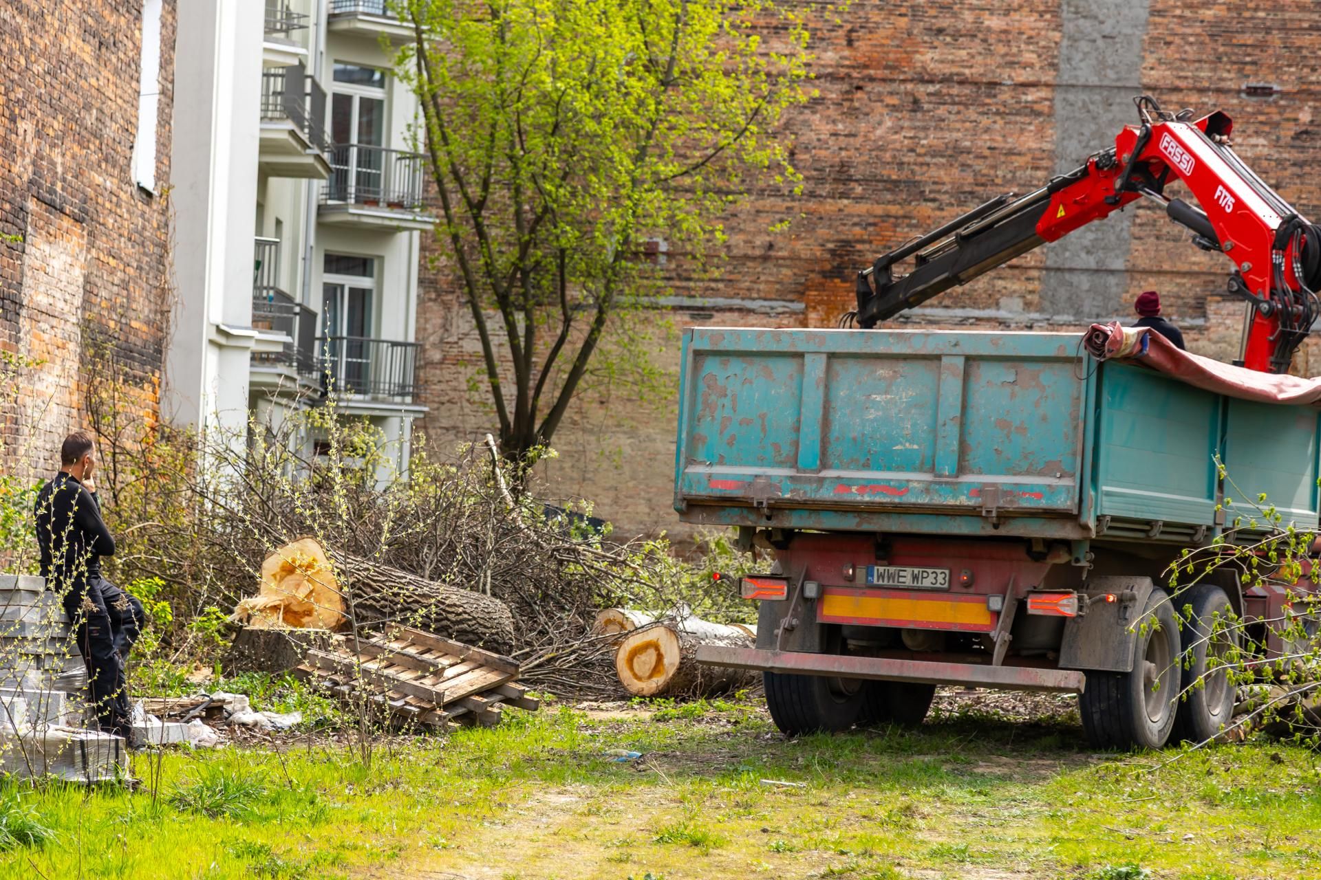Nielegalna wycinka drzew przy ul. Radzymińskiej 14 w Warszawie