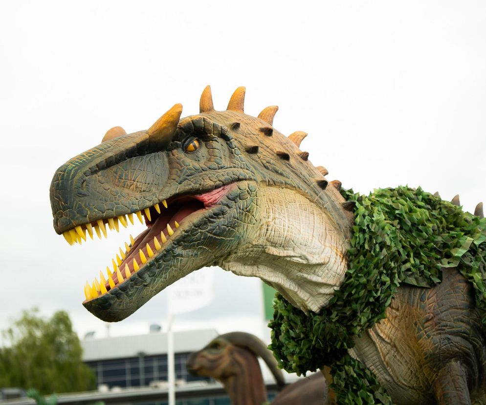 Nowy park dinozaurów we Wrocławiu