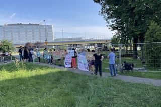 Linia tramwajowa do Mistrzejowic. Protest ws. wycinki drzew w Krakowie