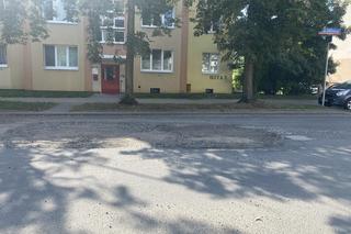 Boya-Żeleńskiego