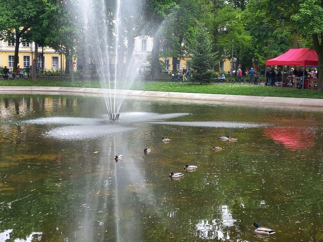 Historyczne Wielkopolskie Obchody Dnia Strażaka w Lesznie