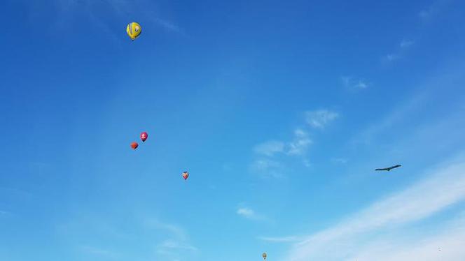 Zawody balonowe w Krośnie