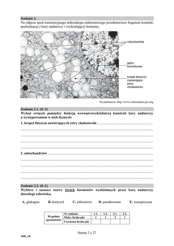 Matura 2018 z biologii [ARKUSZE CKE, ODPOWIEDZI]