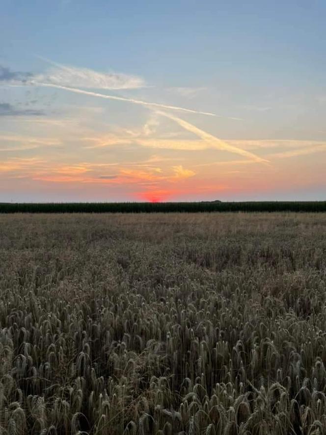 Zdjęcia Poznania od naszych Czytelników. Sprawdź te niesamowite ujęcia!