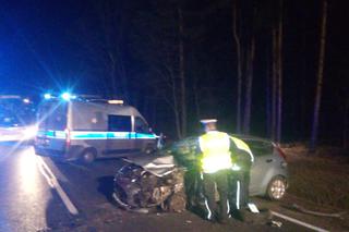 Tragedia w Dybowie. Znamy pierwsze ustalenia policji w sprawie śmiertelnego wypadku [ZDJĘCIA]