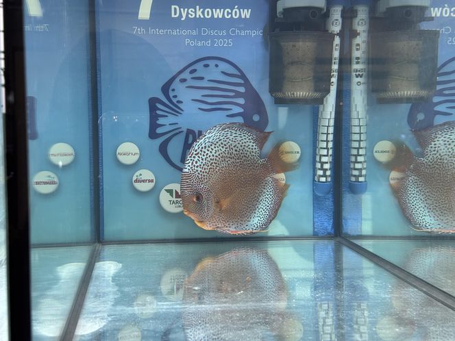 ZooPark w Lublinie. Dzień drugi