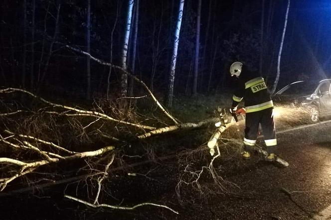 Orkan Sabina rozhulał się nad Polską. A to oznacza połamane drzewa i przerwy w dostawie prądu