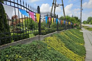 Staropolska tradycja przystrajania wsi na Boże Ciało ciągle żywa