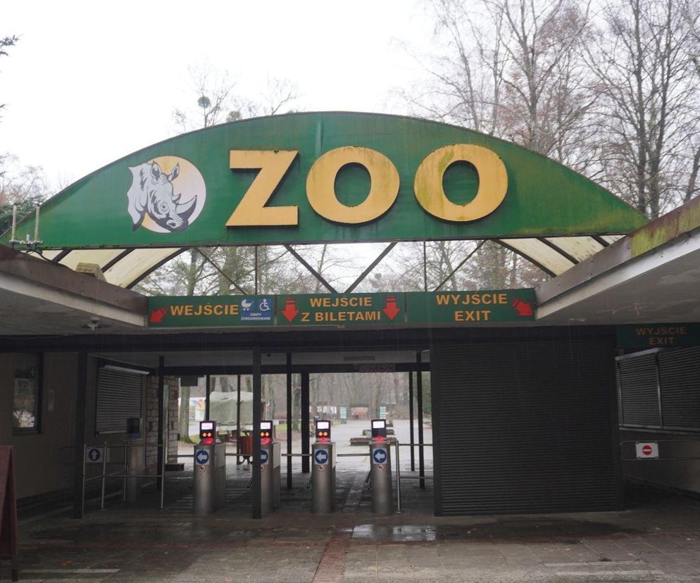 Zoo Poznań