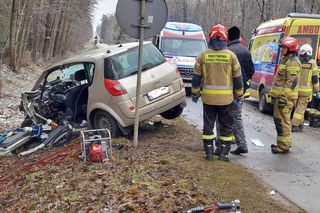 Tragedia w Lesie Rzepińskim. Nie żyje 50-latek