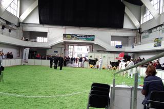 28 Krajowa Wystawa Zwierząt Hodowlanych