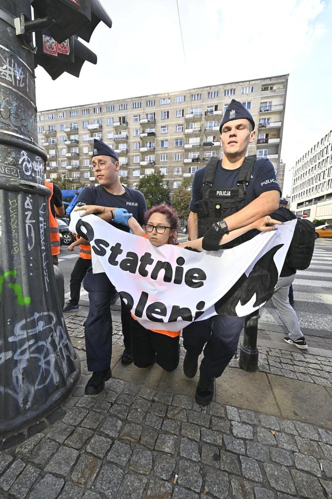 Ostatnie Pokolenie przed sądem. „Złamałam prawo i zrobię to ponownie”