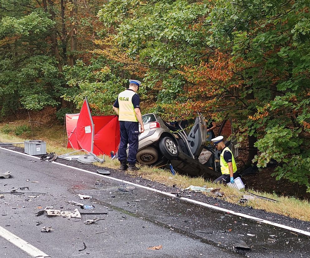 Renault zderzyło się z ciężarówką! Kierowca nie miał szans