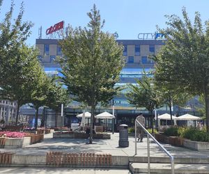 Katowice jak patelnia. Obowiązuje ruch cieniostronny. Nawet gołębie chowają się w cieniu