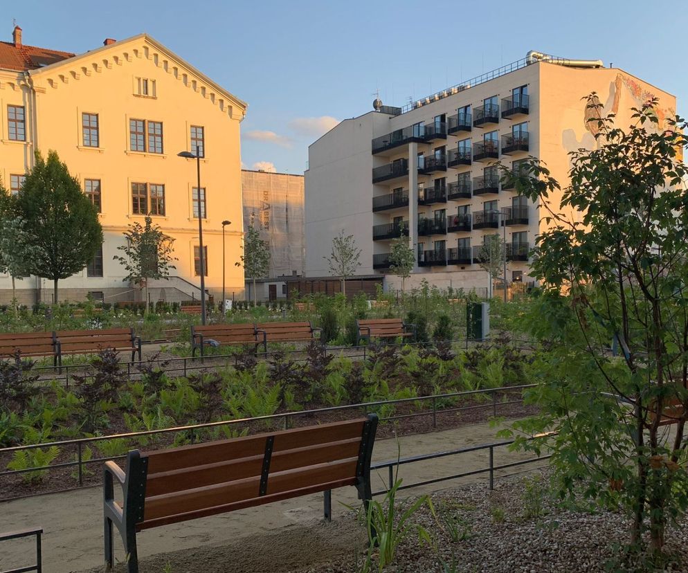 Park imienia Wisławy Szymborskiej przy ulicy Karmelickiej w Krakowie