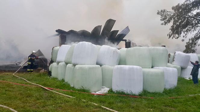 Wielki pożar w Małopolsce. Spłonęło bydło i pies