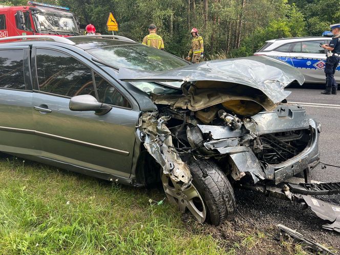 Citroen zderzył się z peugeotem pod Zieloną Górą. Dwoje dzieci trafiło do szpitala