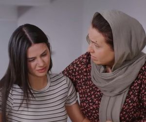 Miłość i nadzieja, odcinek 268: Cavidan, Bahar