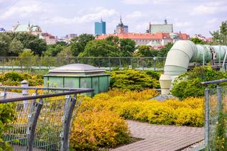 Ogród na dachu BUW w Warszawie