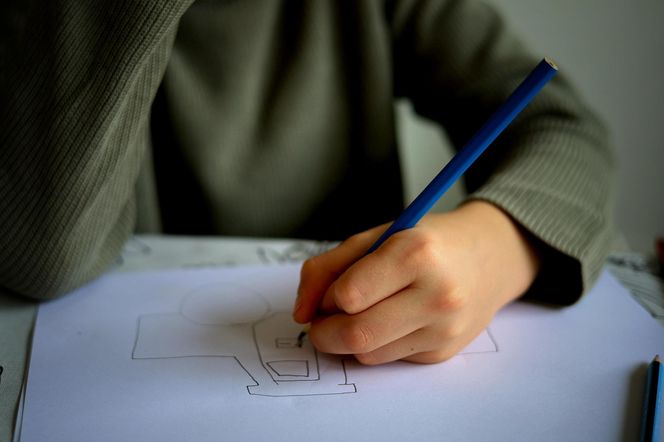 DWUJĘZYCZNA SZKOŁA PODSTAWOWA „PRIMARY STEPS”, Bielsko-Biała 
