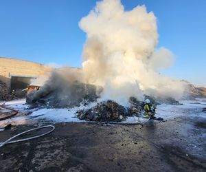 Firma z Przysieki Polskiej wydała oświadczenie po pożarze. Paliły się hałdy odpadów w jej zakładzie recyklingu