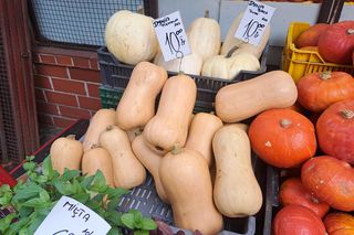 Ceny dyni 2025 na Nowym Kleparzu i Starym Kleparzu w Krakowie