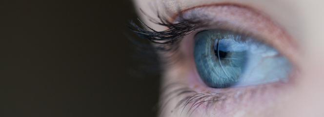 Niesamowite odkrycie lubelskich naukowców. Nasze oko ma żaluzje.