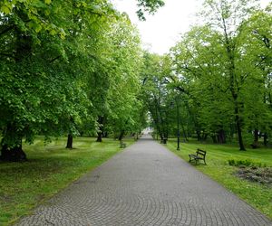 To małopolskie miasto jest dwa razy większe od Dubaju. Mało kto wie, że latem jest w nim tak gorąco, jak w arabskim kurorcie 