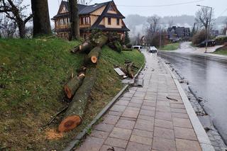 Tragedia w Zakopanem. Basia zginęła, jej pies przeżył
