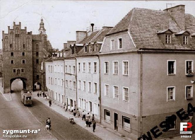 Lata 1955-1965 