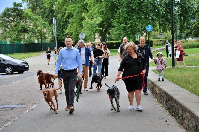 Stowarzyszenie Kraków dla Mieszkańców stworzyło petycję ws. budowy cmentarza dla zwierząt w Krakowie