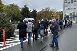 Urząd Miasta Zielona Góra rozdał dynie! Mimo złej pogody były tłumy
